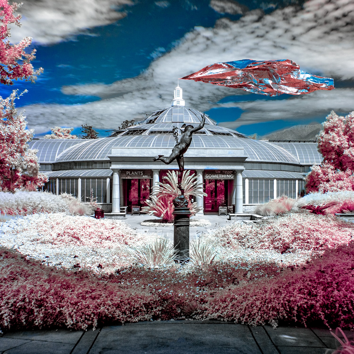 infrared photo los angeles