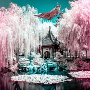 infrared photo los angeles